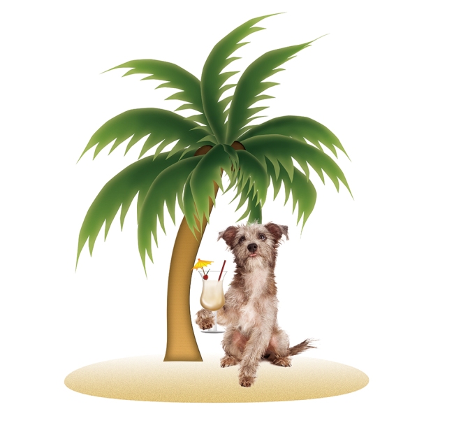 Dog-With-Pina-Colada-Under-Palm-Tree